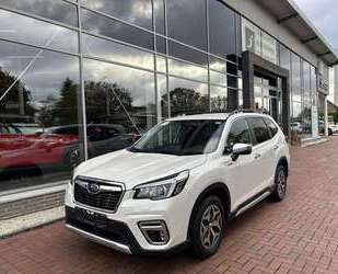 Subaru Forester Gebrauchtwagen