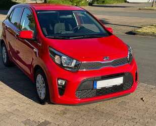 Kia Picanto Gebrauchtwagen