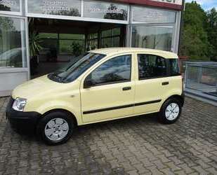 Fiat Panda Gebrauchtwagen