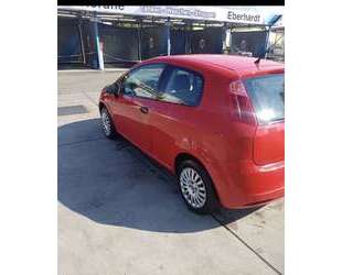 Fiat Punto Gebrauchtwagen