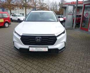Honda CR-V Gebrauchtwagen