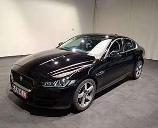 Jaguar XE Gebrauchtwagen