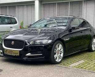 Jaguar XE Gebrauchtwagen
