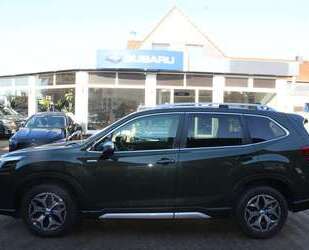 Subaru Forester Gebrauchtwagen