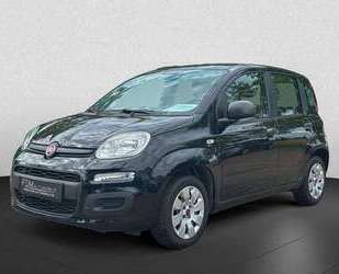 Fiat Panda Gebrauchtwagen