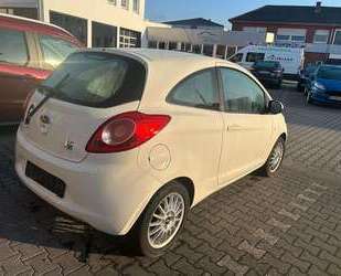 Ford Ka/Ka+ Gebrauchtwagen
