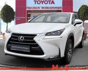 Lexus NX 300 Gebrauchtwagen