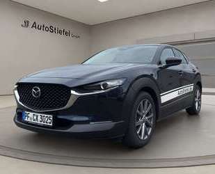 Renault CX-30 