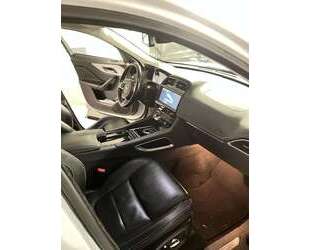 Jaguar F-Pace Gebrauchtwagen