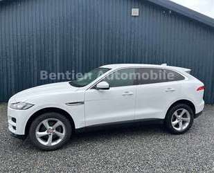 Jaguar F-Pace Gebrauchtwagen