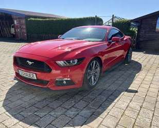 Ford Mustang Gebrauchtwagen