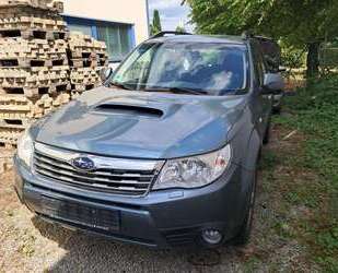 Subaru Forester Gebrauchtwagen