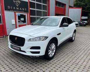 Jaguar F-Pace Gebrauchtwagen