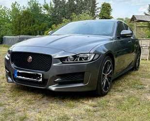 Jaguar XE Gebrauchtwagen