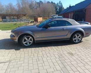 Ford Mustang Gebrauchtwagen