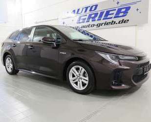 Suzuki Swace Gebrauchtwagen