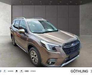 Subaru Forester Gebrauchtwagen