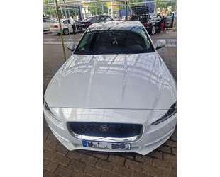 Jaguar XE Gebrauchtwagen