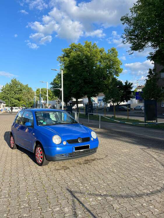 Bild 1