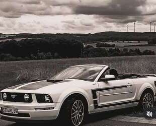 VW Mustang 