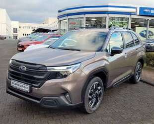 Subaru Forester Gebrauchtwagen