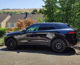 Jaguar F-Pace Gebrauchtwagen