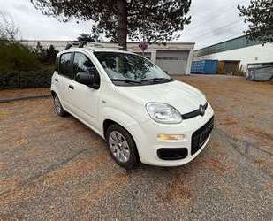 Fiat Panda Gebrauchtwagen