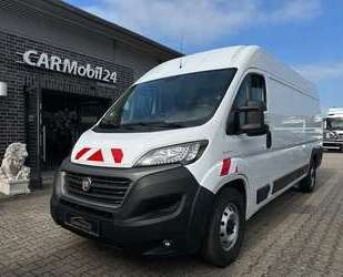 Fiat Ducato Gebrauchtwagen