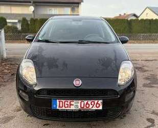 Fiat Punto Gebrauchtwagen