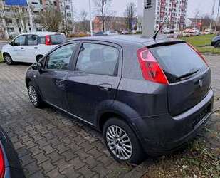 Fiat Punto Gebrauchtwagen