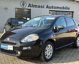 Fiat Punto Gebrauchtwagen