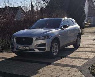 Jaguar F-Pace Gebrauchtwagen