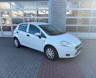 Fiat Punto Gebrauchtwagen