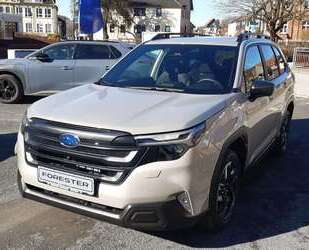 Subaru Forester Gebrauchtwagen