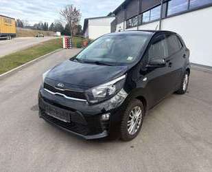 Kia Picanto Gebrauchtwagen
