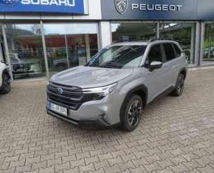Subaru Forester Gebrauchtwagen