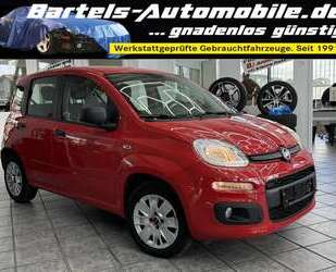 Fiat New Panda Gebrauchtwagen