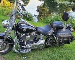 Harley Davidson Softail Gebrauchtwagen