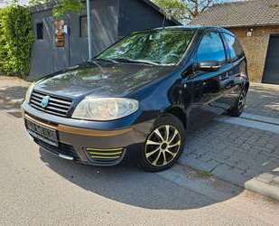 Fiat Punto Gebrauchtwagen