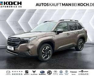 Subaru Forester Gebrauchtwagen