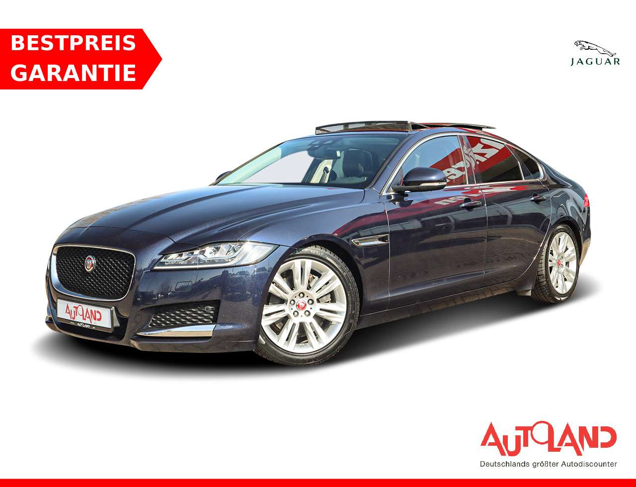 XF