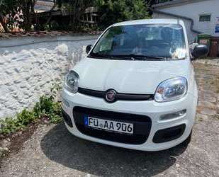 Fiat Panda Gebrauchtwagen