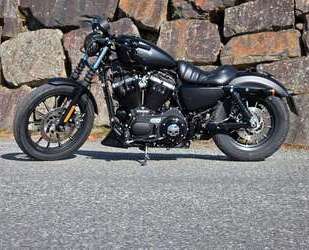 Harley Davidson Sportster XL 883 Gebrauchtwagen