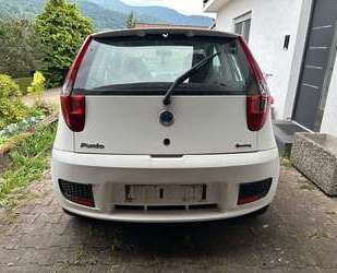 Fiat Punto Gebrauchtwagen