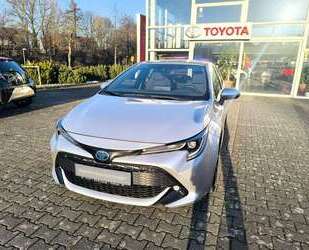 Toyota Corolla Gebrauchtwagen