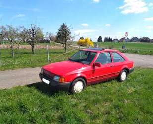Ford Escort Gebrauchtwagen