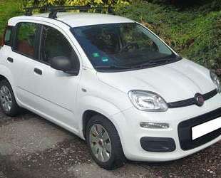 Fiat Panda Gebrauchtwagen