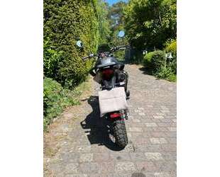 Malaguti Dune 125 Gebrauchtwagen