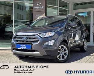Ford EcoSport Gebrauchtwagen