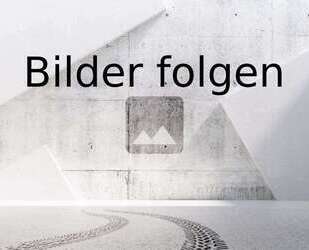 Tesla Model 3 Gebrauchtwagen